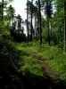 Jméno souboru : zdice_5.jpg
Velikost souboru : 255KB
Rozměry : 600x802
Datum přidání : Listopad 03, 2007 zdice_5.jpg