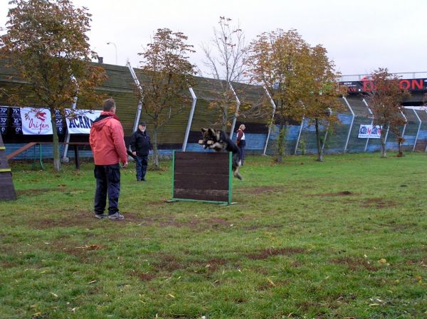 Klikněte pro zobrazení původního obrázku