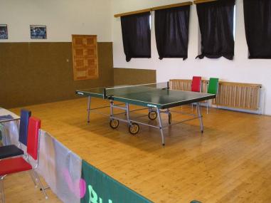 Stolní tenis 01